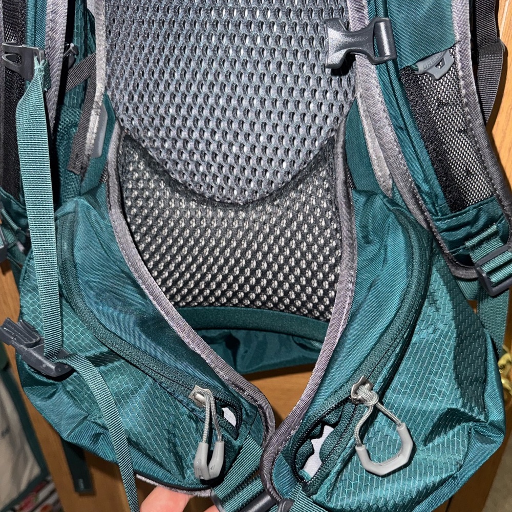 Gregory Juno 30 Backpack in the color Emerald Green - Picture 5 of 13
